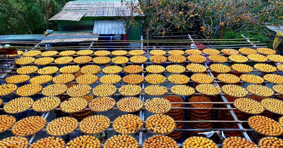 processus de fabrication d'exposition au soleil de kaki séché dans un tamis en automne. 9575976